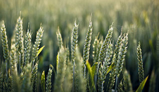 电话轰炸业务网